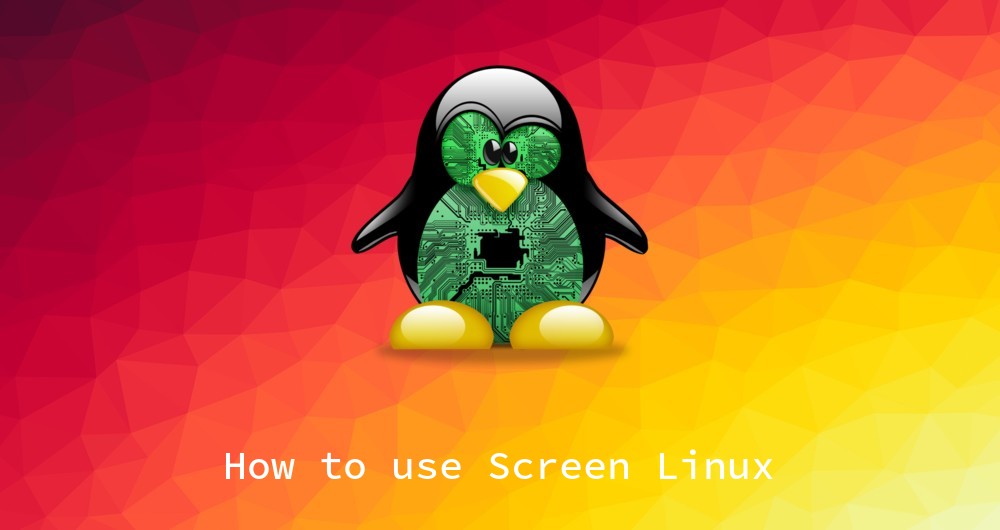 how-to-use-screen-in-linux-linuxandi